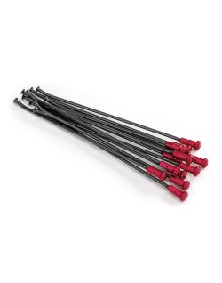 SPOKES 21FR BK /RE NIP 12PC