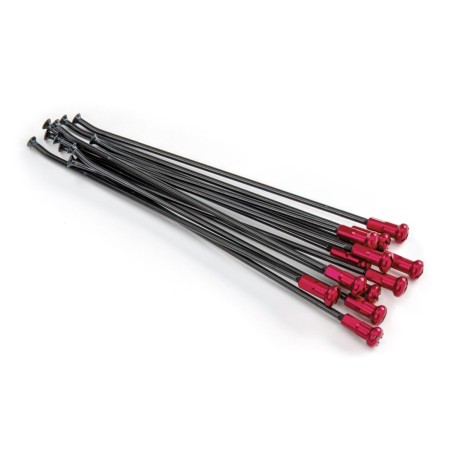 SPOKES 21FR BK /RE NIP 12PC