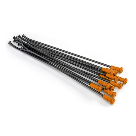 SPOKES 21FR BK /OR NIP 12PC