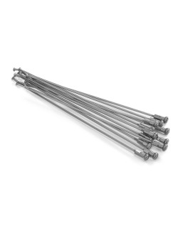 SPOKES 19 RR SI /SI NIP 12PC