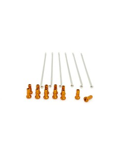 SPOKES 19 RR SI /OR NIP 12PC