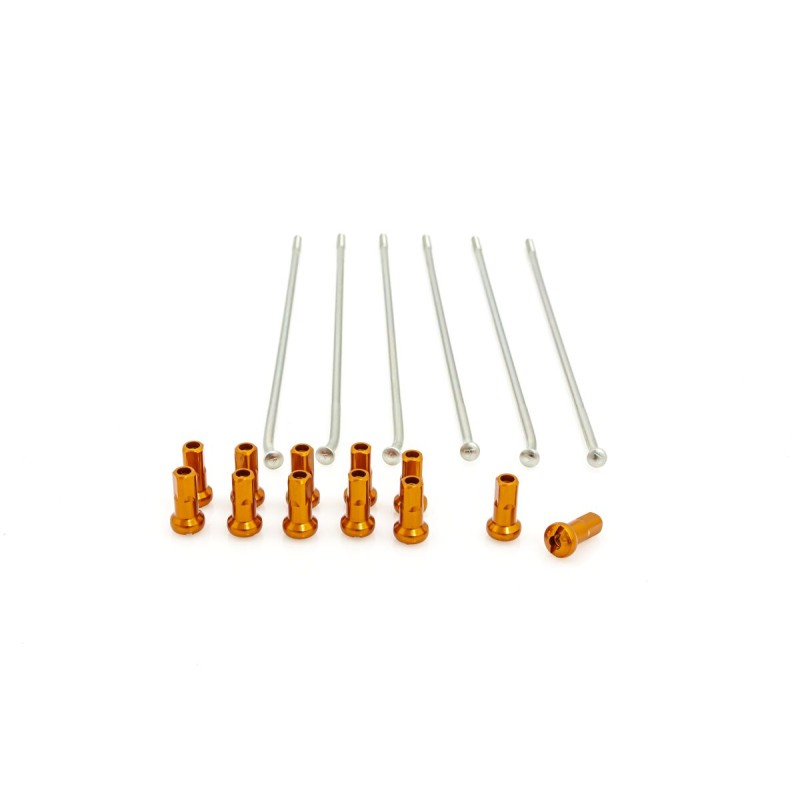 SPOKES 19 RR SI /OR NIP 12PC