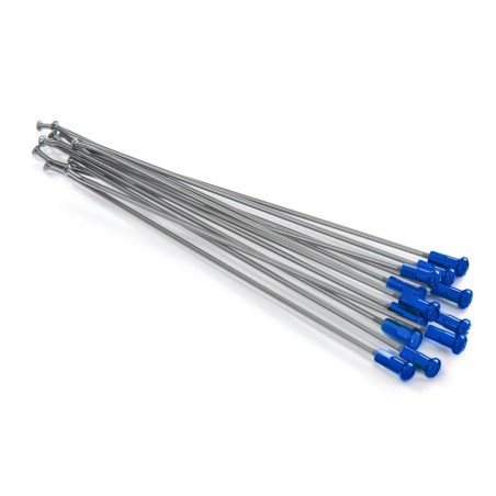 SPOKES 19 RR SI /BL NIP 12PC