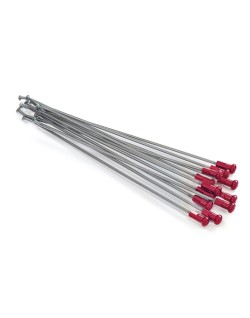 SPOKES 19 RR SI /RE NIP 12PC