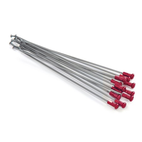 SPOKES 19 RR SI /RE NIP 12PC