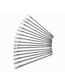 SPOKES 19 FR BK/SI 16PC