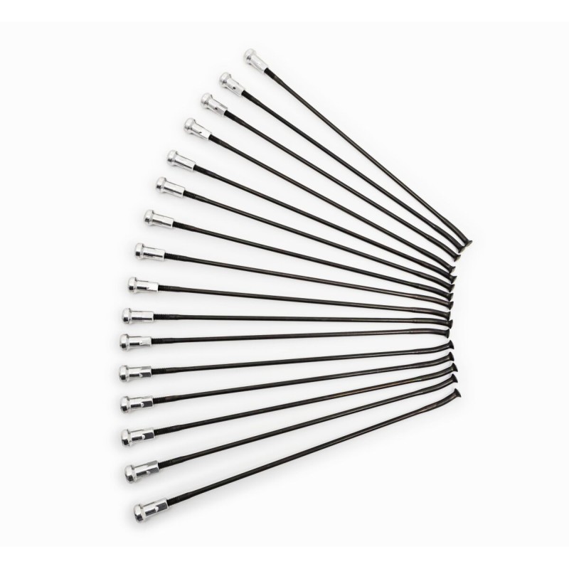 SPOKES 19 FR BK/SI 16PC