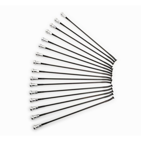 SPOKES 19 FR BK/SI 16PC