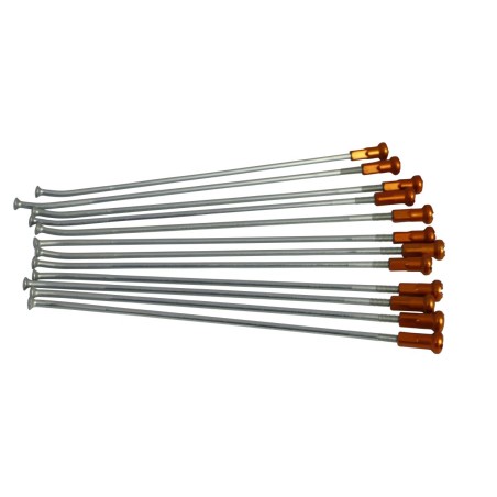 SPOKE KIT FR 14" SIL/OR