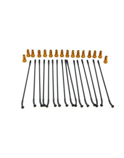 SPOKE KIT FR 17" BK/OR