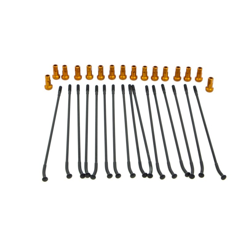 SPOKE KIT FR 17" BK/OR