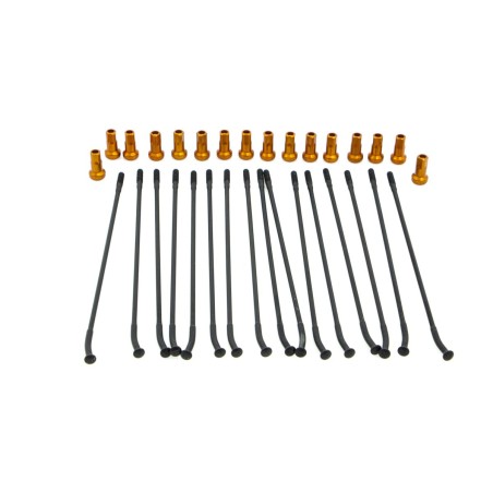 SPOKE KIT FR 17" BK/OR