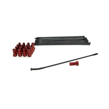 SPOKE KIT FR 17" BK/RD