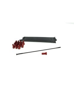 SPOKE KIT FR 19" BK/RD