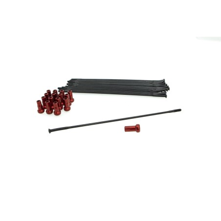 SPOKE KIT FR 19" BK/RD