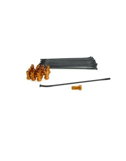SPOKE KIT RR 16" BK/OR