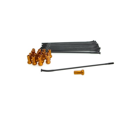 SPOKE KIT RR 16" BK/OR