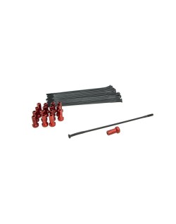 SPOKE KIT RR 16" BK/RD