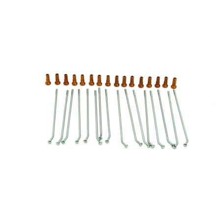 SPOKE KIT RR 12" SIL/OR