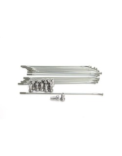 SPOKES 19 FR SI/SI NIP 16PC