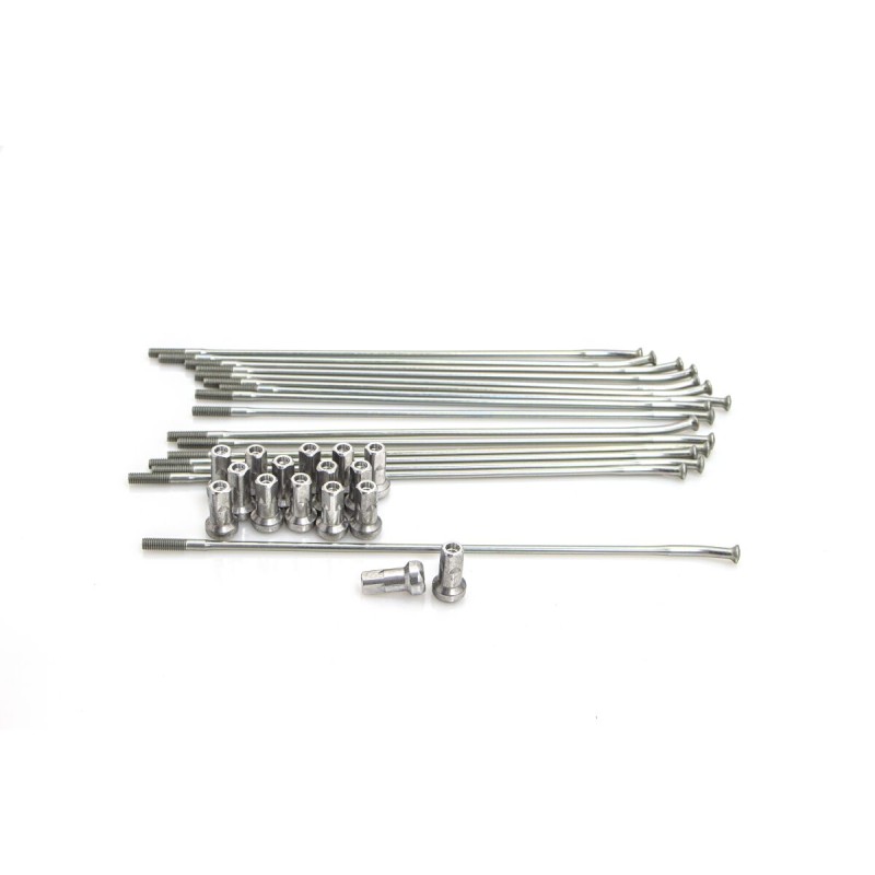 SPOKES 19 FR SI/SI NIP 16PC