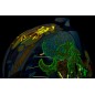 HLMT AFLT BUG-BLITZ BL MD