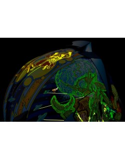 HLMT AFLT BUG-BLITZ BL LG