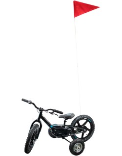 FLAG 2PC STACYC
