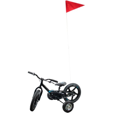 FLAG 2PC STACYC