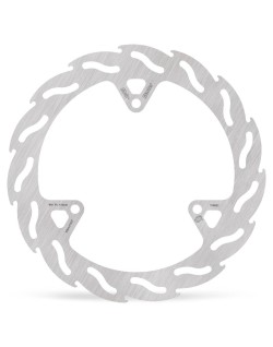 BRAKE DISC FLAME REAR