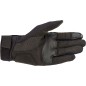 GLOVE REEF BWR S