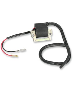 IGNITION COIL ARCTIC