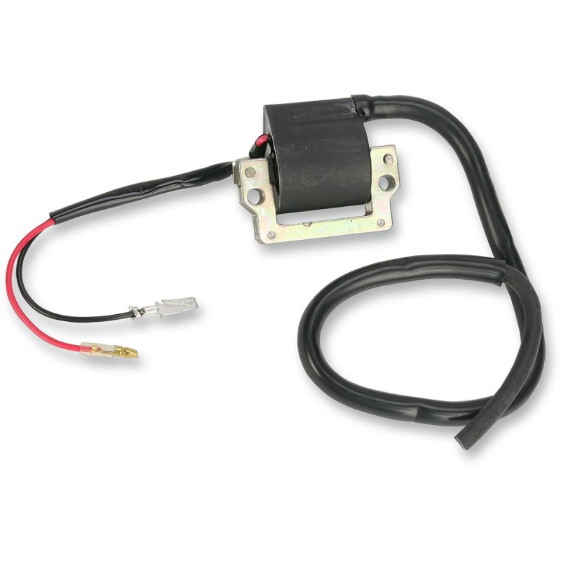 IGNITION COIL ARCTIC