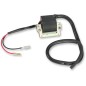IGNITION COIL ARCTIC