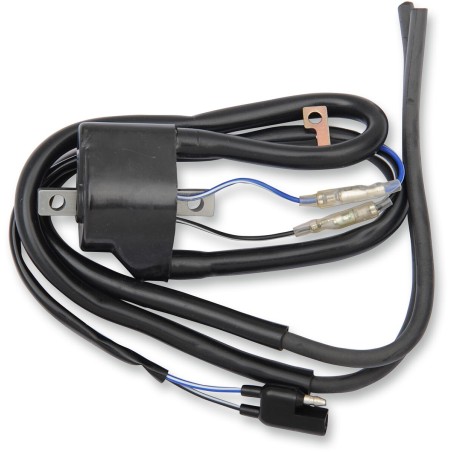 IGNITION COIL ARCTIC