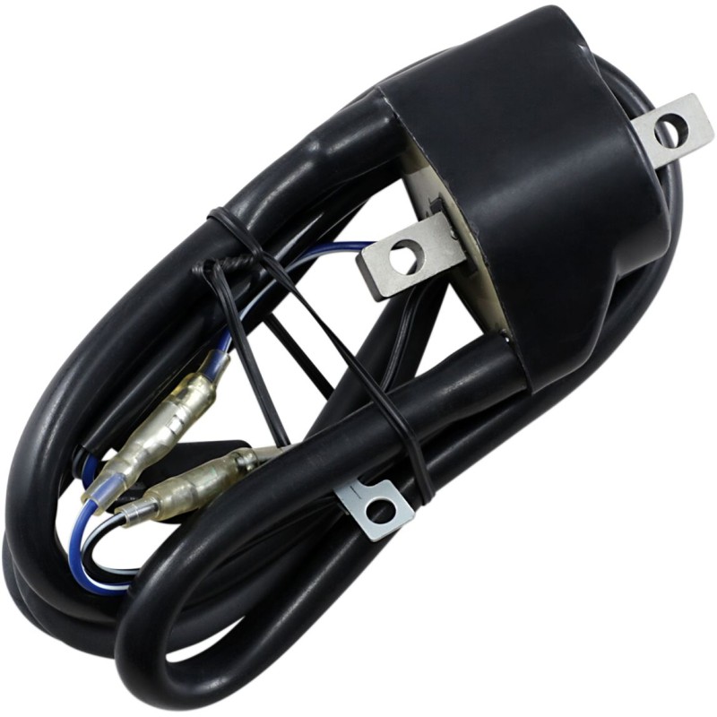 IGNITION COIL ARCTIC