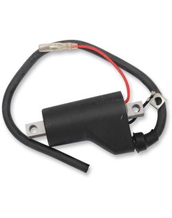 IGNITION COIL POLARIS