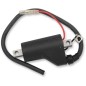 IGNITION COIL POLARIS