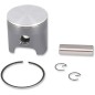 PISTON ASSY ROTAX STD