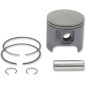 PISTON ASSY POLARIS STD