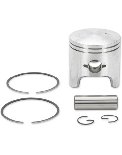 PISTON ASSY ARCTIC STD.