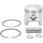 PISTON ASSY ARCTIC STD.