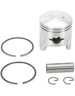PISTON ASSY ARCTIC STD.