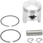 PISTON ASSY ARCTIC STD.