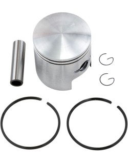 PISTON ASSY ARCTIC STD