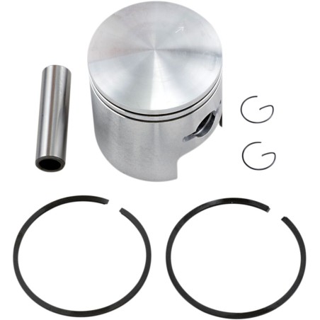 PISTON ASSY ARCTIC STD