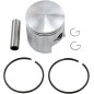PISTON ASSY ARCTIC STD