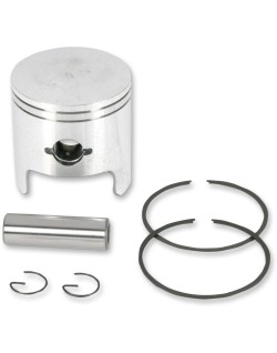 PISTON ASSY ARCTIC STD