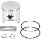 PISTON ASSY ARCTIC STD