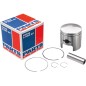 PISTON ASSY ARCTIC STD